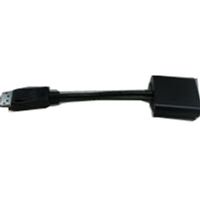 Astrotek DisplayPort Male to DVI 24+1 Female Adaptor